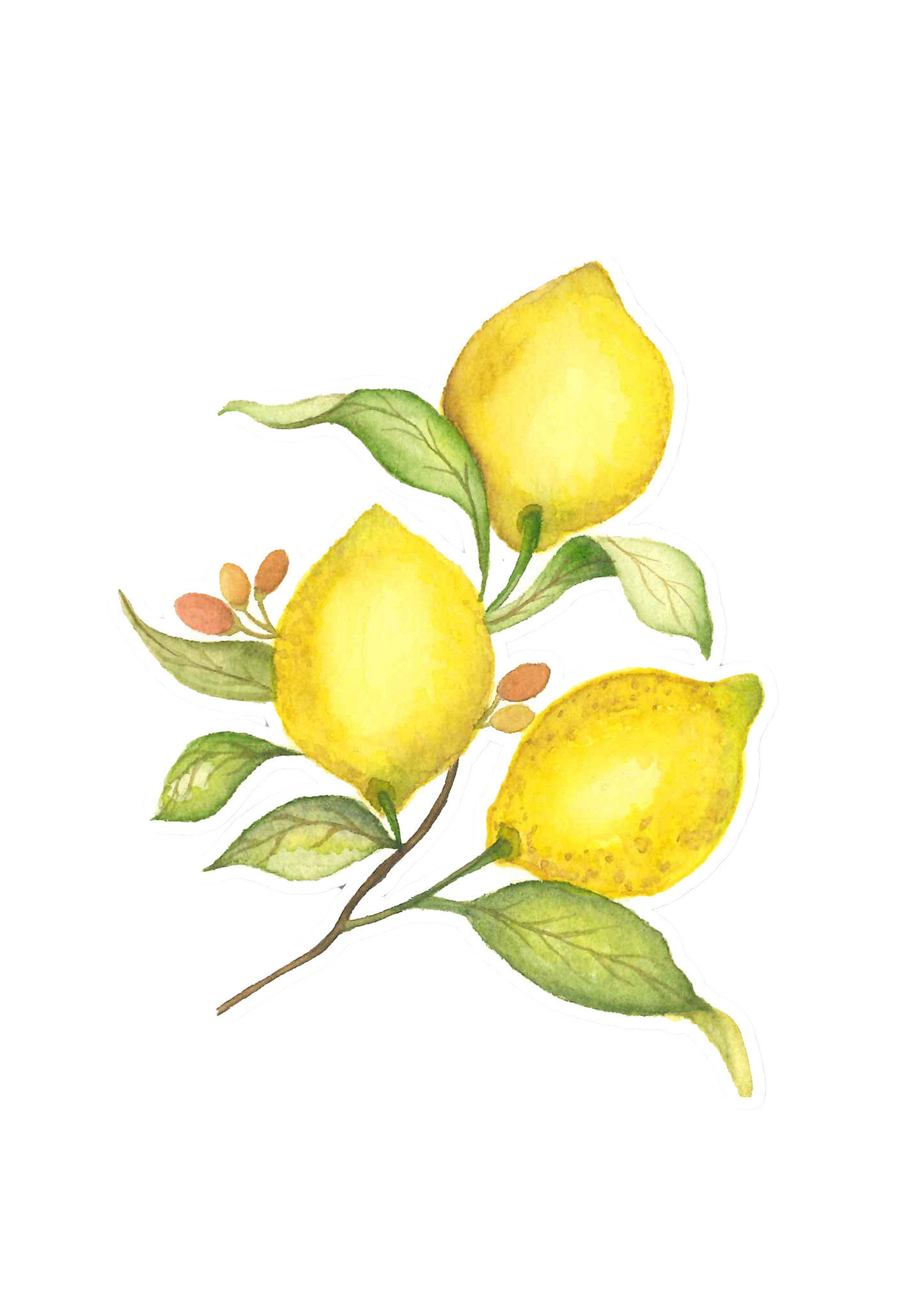 Juicy Lemon