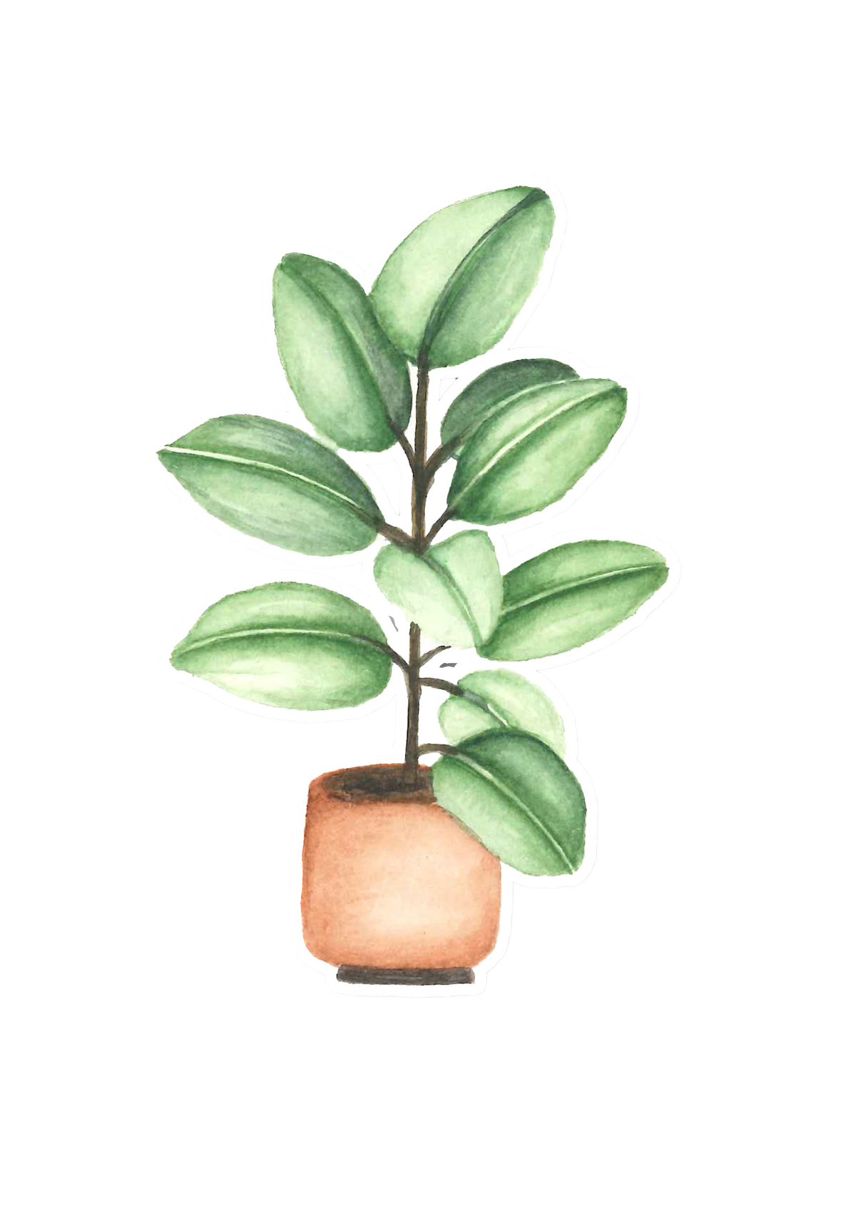 Plant Lover